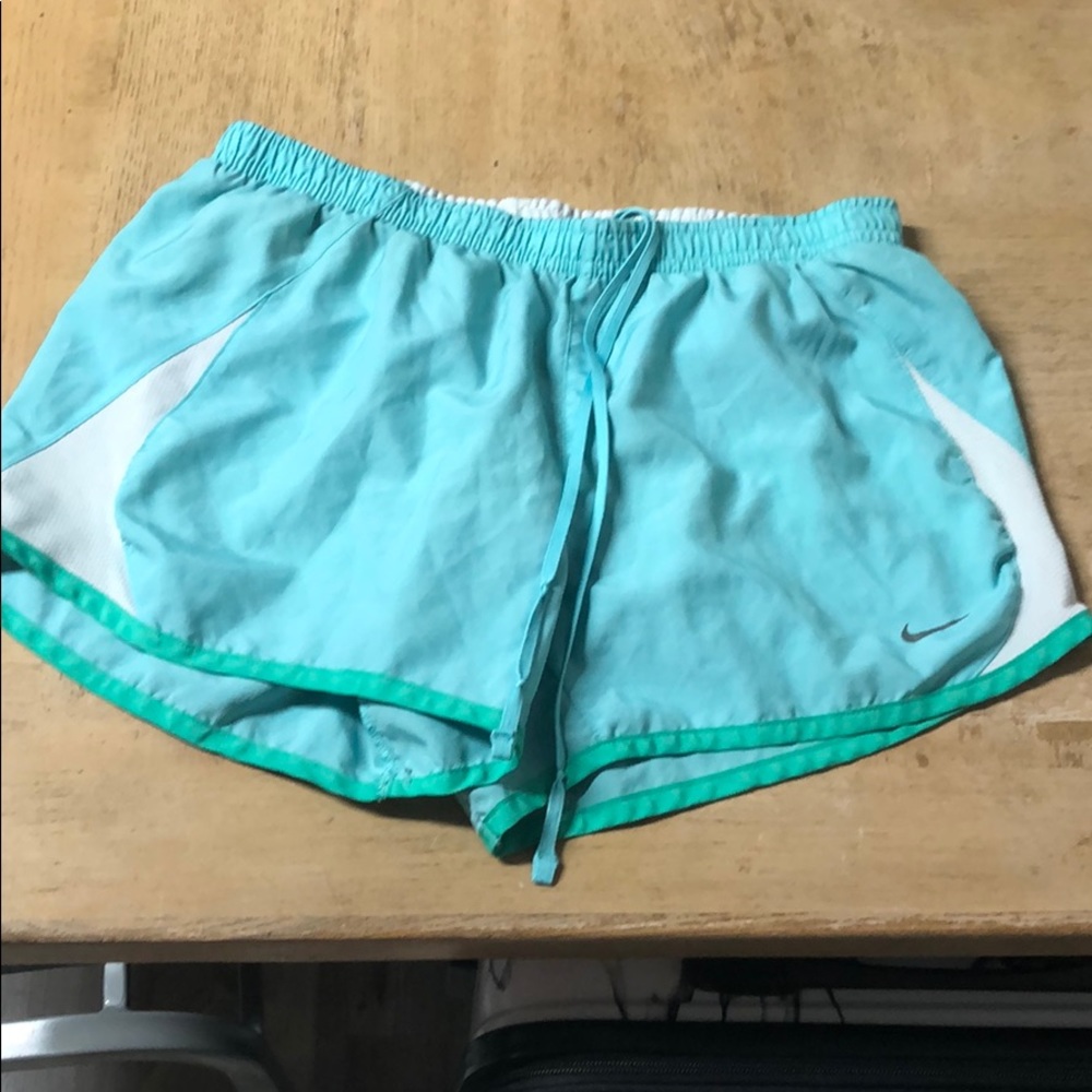 Blue and Green Nike Shorts